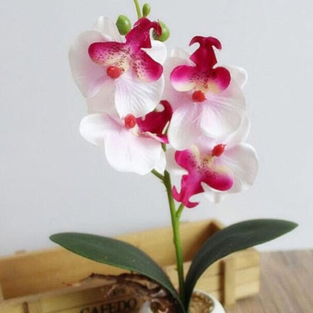 Artificial Fake White Orchid for Pot