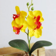 Artificial Fake Yellow Orchid for Pot