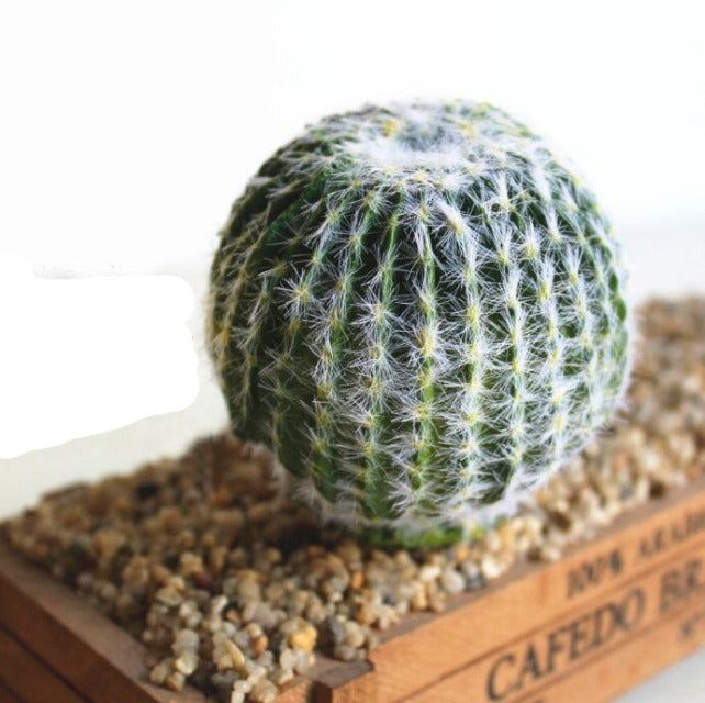 Artificial Fake Cactus Plant Ball