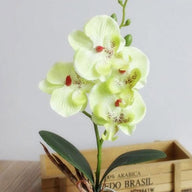 Artificial Fake Green Orchid for Pot