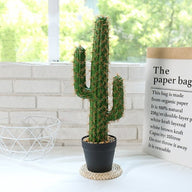 Artificial Fake Tall Cactus