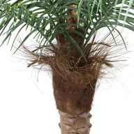 Artificial Fake Coconut Tree 180 cm