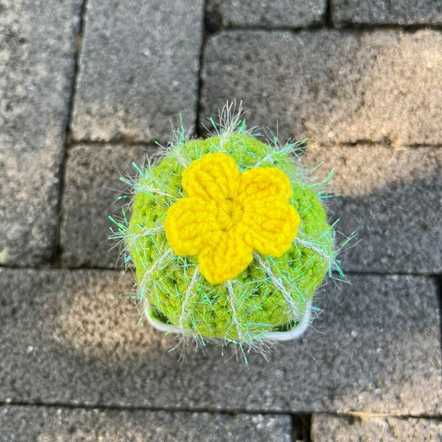 Hand-Knitted Crochet Artificial Fake Cactus Plant in Pot