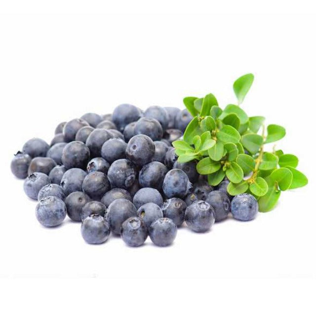 Artificial Fake Blueberries 20 Pcs