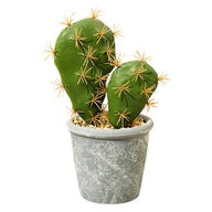 Artificial Fake Cactus Plant in Pot