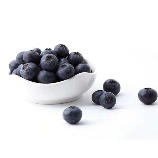 Artificial Fake Blueberries 20 Pcs