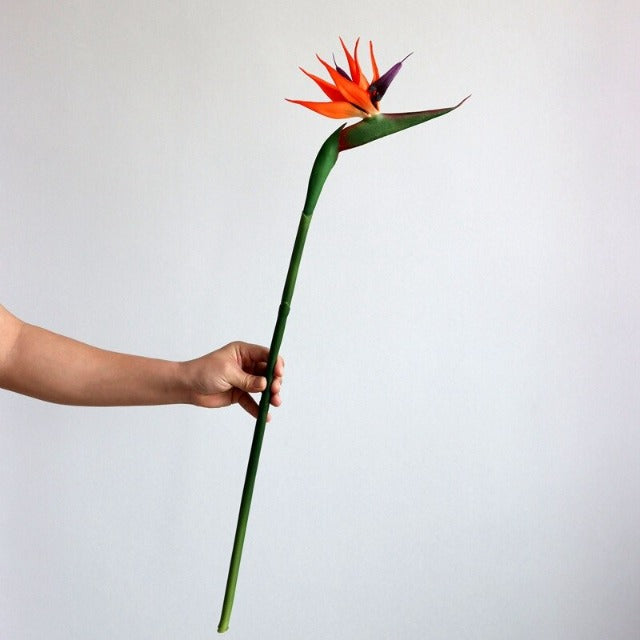 Artificial Fake Bird of Paradise Stem 4 Pcs Mix Color