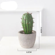 Artificial Fake Mini Cactus in Pot