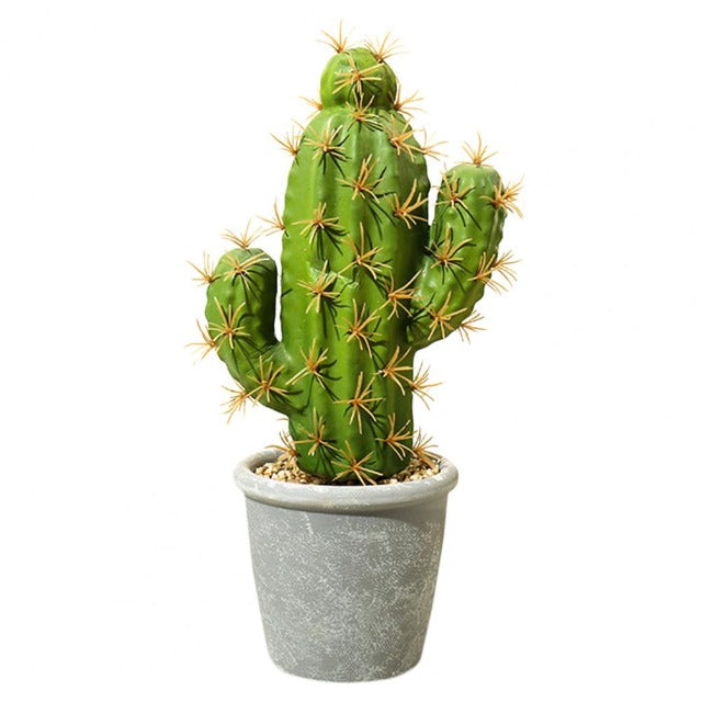 Artificial Fake Cactus Plant in Pot for Indoor and Outdoor