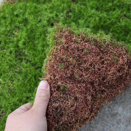 Artificial Fake Moss Grass Sheet