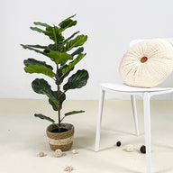 Artificial Fake Fiddle Leaf Fig Tree in Pot 75cm