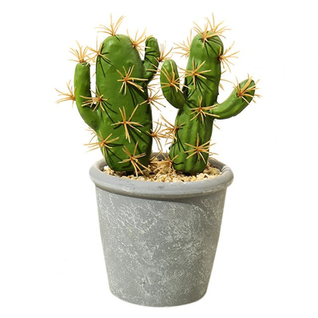 Artificial Fake Double Cactus Plant in Pot