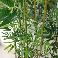 Artificial Fake Bamboo Hedge 1M