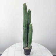 Artificial Fake Tall Cactus Plant in Pot 75 cm