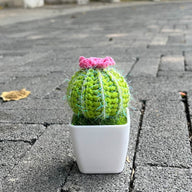 Hand-Knitted Artificial Fake Cactus Plant in Pot