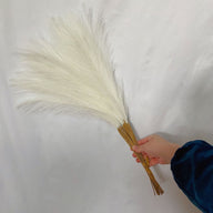 Artificial Fake Fluffy Pampas Grass Cream White