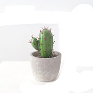 Artificial Fake Mini Cactus in Pot