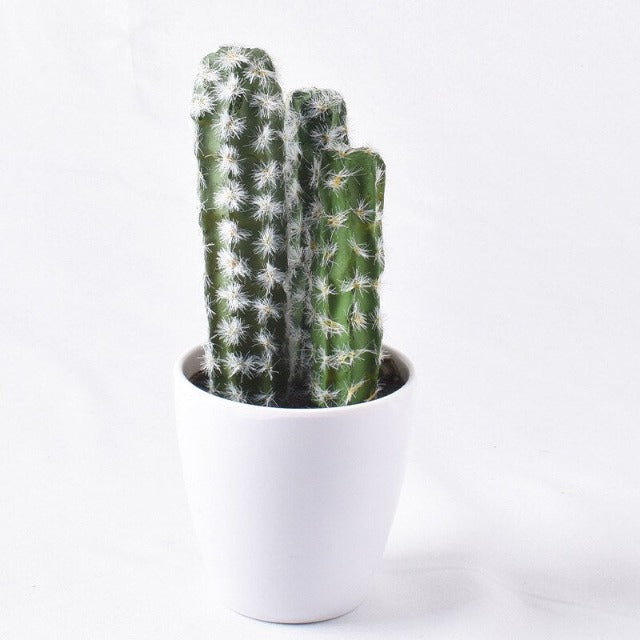 Artificial Fake Small Cactus Plant