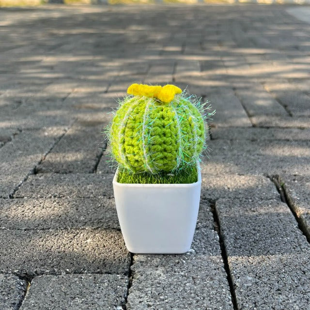 Hand-Knitted Crochet Artificial Fake Cactus Plant in Pot