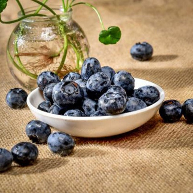 Artificial Fake Blueberries 20 Pcs